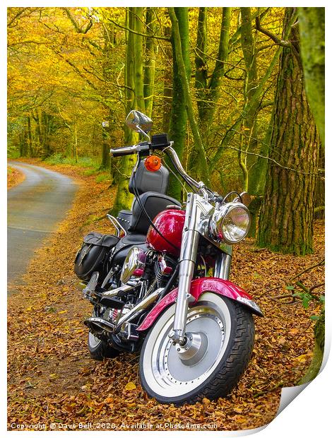 Autumn Harley Print by Dave Bell