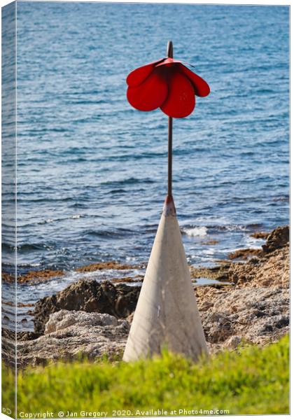 Poppy by the Sea Canvas Print by Jan Gregory