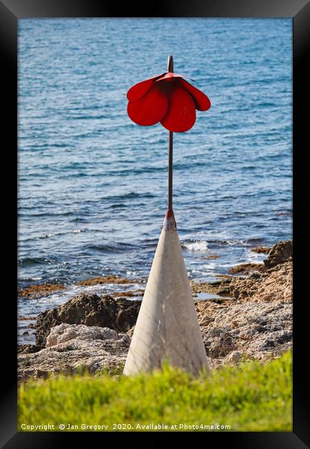 Poppy by the Sea Framed Print by Jan Gregory