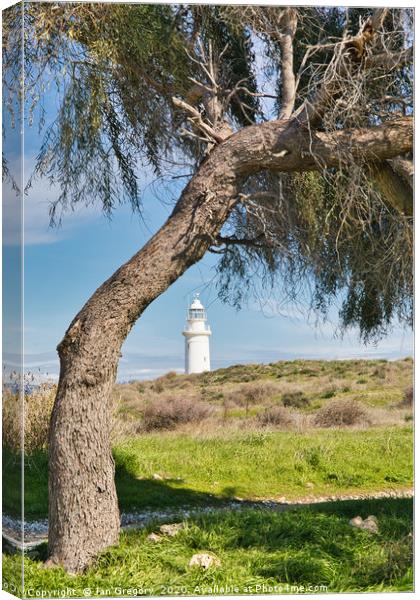 Paphos Lighthouse Canvas Print by Jan Gregory