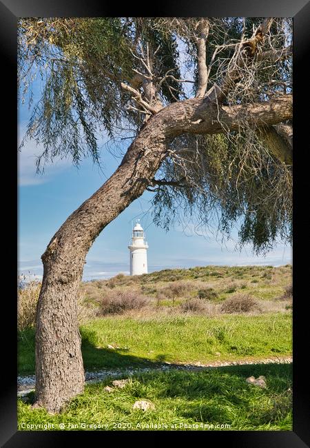 Paphos Lighthouse Framed Print by Jan Gregory