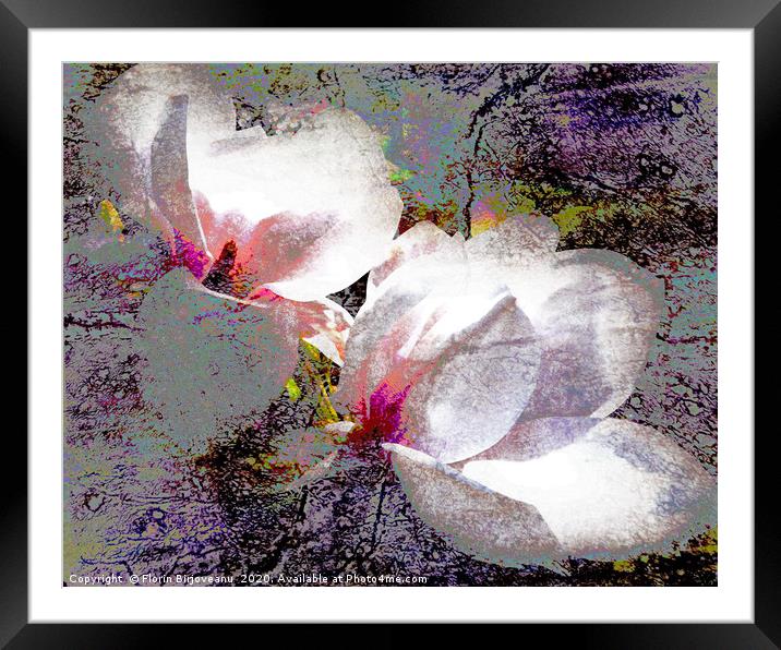 DOUBLE WHITE Framed Mounted Print by Florin Birjoveanu