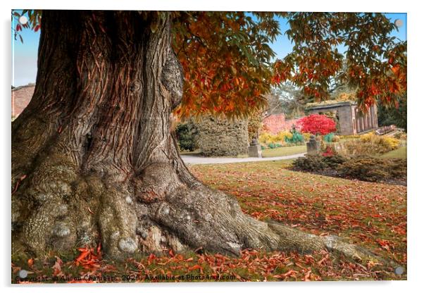 Cannon Hall Old Chestnut Tree Acrylic by Alison Chambers