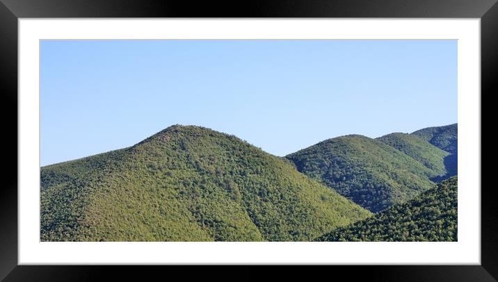 Mountain National Forest Framed Mounted Print by M. J. Photography