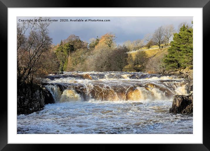 The River Tees at Low Force in Flood Conditions, T Framed Mounted Print by David Forster