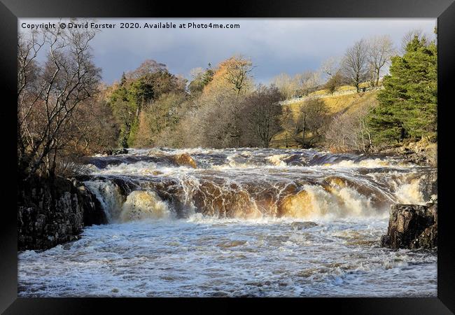 The River Tees at Low Force in Flood Conditions, T Framed Print by David Forster