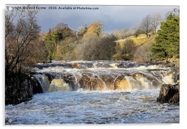 The River Tees at Low Force in Flood Conditions, T Acrylic by David Forster