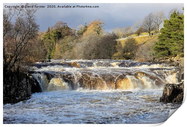 The River Tees at Low Force in Flood Conditions, T Print by David Forster