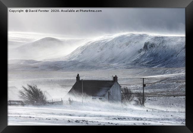 Wild Winter Storm, Upper Teesdale, County Durham,  Framed Print by David Forster