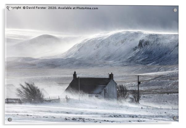 Wild Winter Storm, Upper Teesdale, County Durham,  Acrylic by David Forster