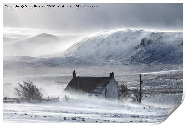 Wild Winter Storm, Upper Teesdale, County Durham,  Print by David Forster