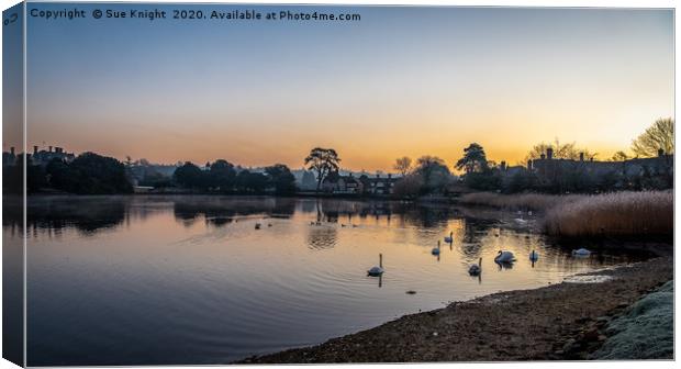 Sunrise and swans, Beallieu Millpond, New Forest Canvas Print by Sue Knight