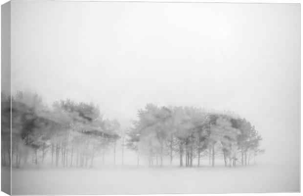 Winter landscape Canvas Print by Larisa Siverina