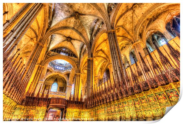 Barcelona Cathedral Choir Print by David Pyatt