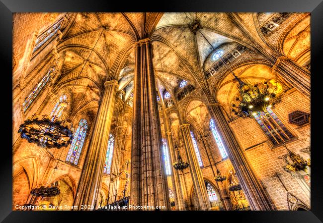 Barcelona Cathedral  Framed Print by David Pyatt