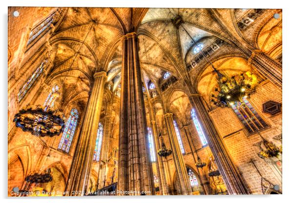 Barcelona Cathedral  Acrylic by David Pyatt