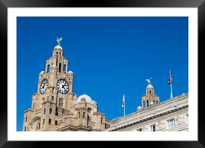 Liverbirds high above Liverpool Framed Mounted Print by Jason Wells