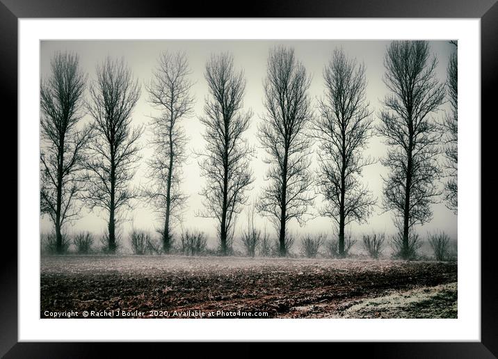 Mystical Frosty Morning Framed Mounted Print by RJ Bowler