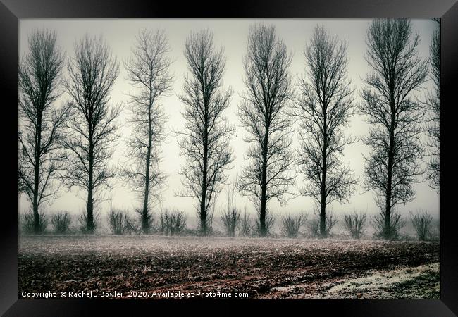 Mystical Frosty Morning Framed Print by RJ Bowler