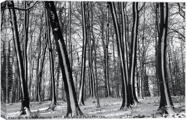 winter woodland Canvas Print by Simon Johnson