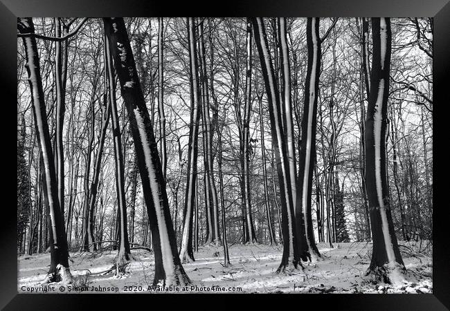 winter woodland Framed Print by Simon Johnson