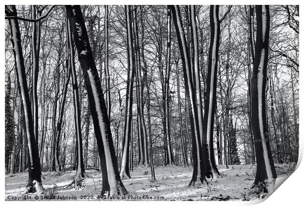 winter woodland Print by Simon Johnson