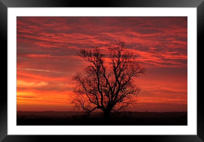 uCotswold sunrisenknown Framed Mounted Print by Simon Johnson