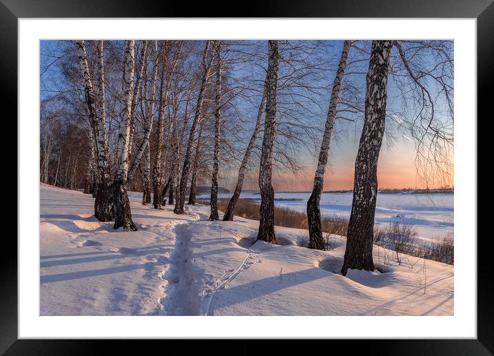 Birch trees on the edge of a snow-covered river va Framed Mounted Print by Dobrydnev Sergei