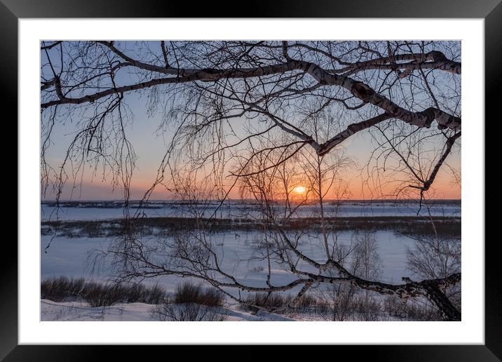 Birch tree and setting sun on a winter evening Framed Mounted Print by Dobrydnev Sergei