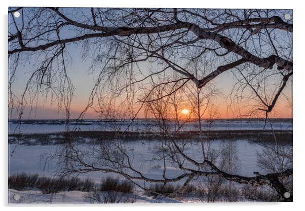 Birch tree and setting sun on a winter evening Acrylic by Dobrydnev Sergei