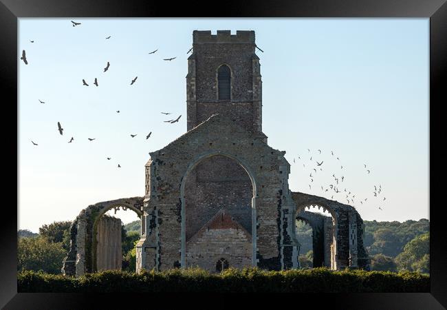 Covehithe Abbey Framed Print by Svetlana Sewell