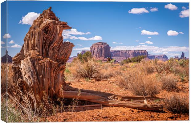 Tree Stump Butte Canvas Print by Gareth Burge Photography