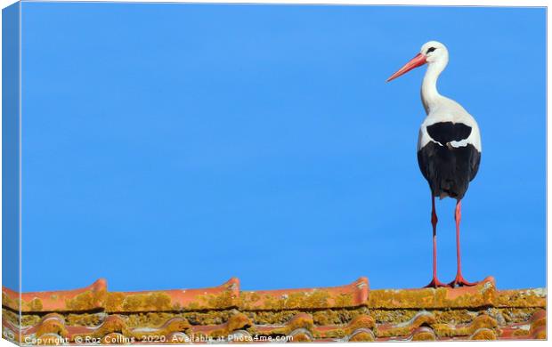 Stork on a Barn Roof Canvas Print by Roz Collins
