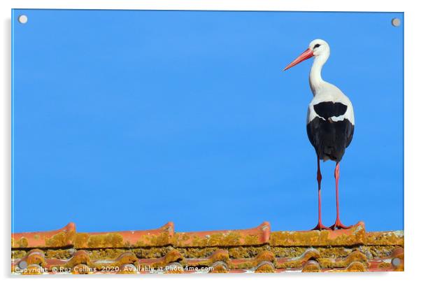 Stork on a Barn Roof Acrylic by Roz Collins
