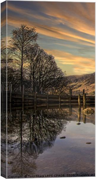 TREE REFLECTIONS ON DERWENTWATER. Canvas Print by Tony Sharp LRPS CPAGB