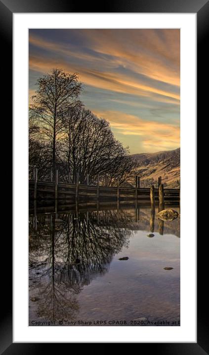 TREE REFLECTIONS ON DERWENTWATER. Framed Mounted Print by Tony Sharp LRPS CPAGB