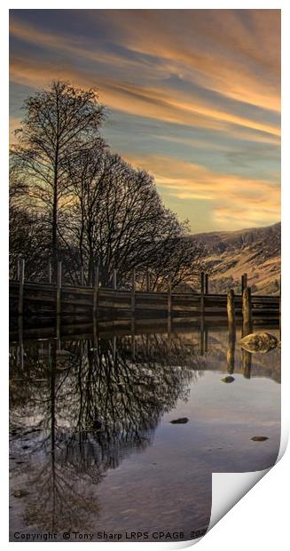TREE REFLECTIONS ON DERWENTWATER. Print by Tony Sharp LRPS CPAGB