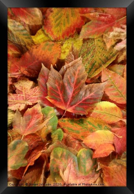Autumn leaf collage Framed Print by Simon Johnson