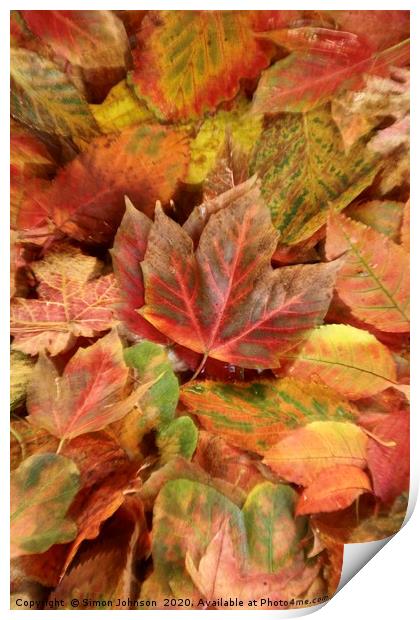 Autumn leaf collage Print by Simon Johnson