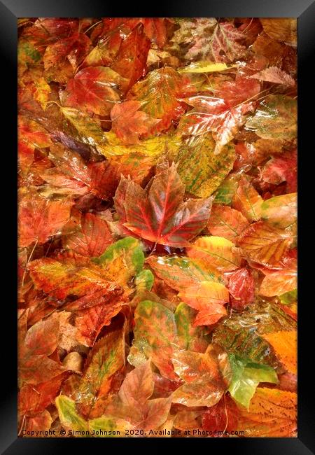 Autumn leaf Collage Framed Print by Simon Johnson