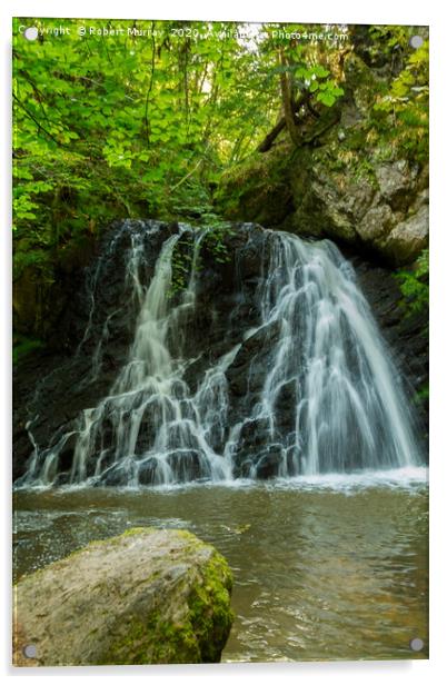 Waterfall in Fairy Glen Acrylic by Robert Murray