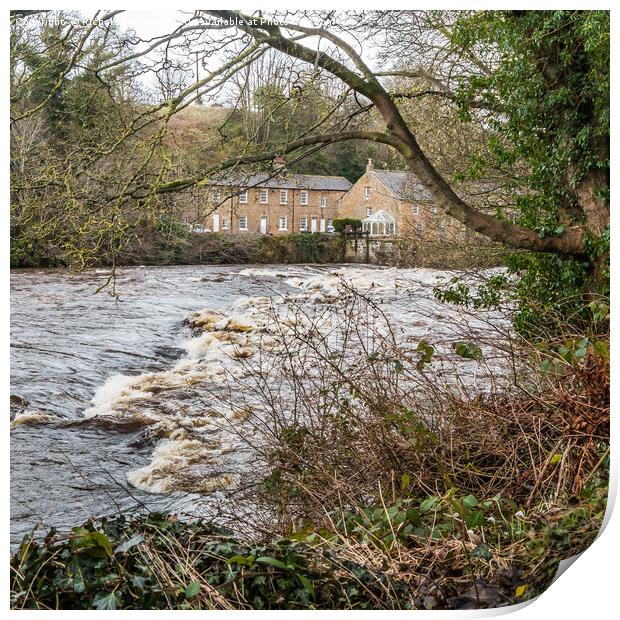 Demesnes Mill, Barnard Castle, Teesdale Print by Richard Laidler