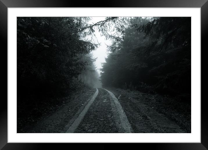 Dark woods of Wales Framed Mounted Print by David Wall