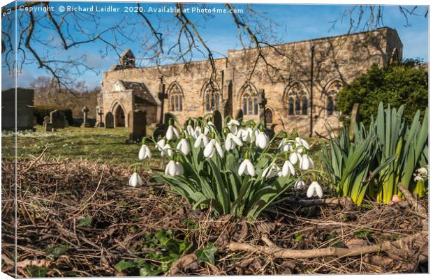 Snowdrops in St Marys Churchyard Wycliffe Teesdale Canvas Print by Richard Laidler