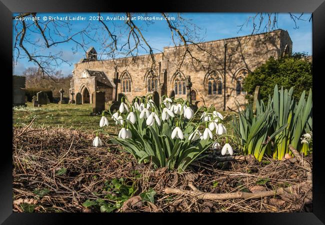Snowdrops in St Marys Churchyard Wycliffe Teesdale Framed Print by Richard Laidler