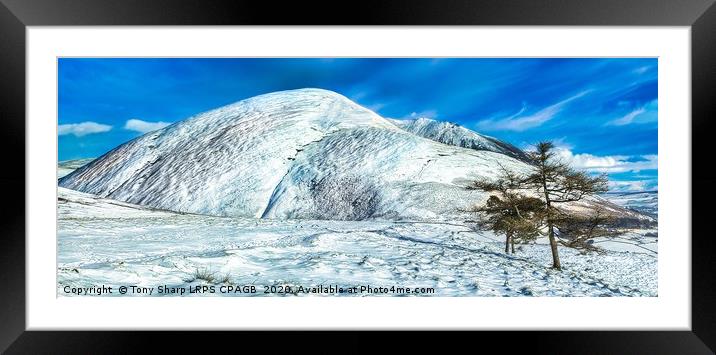 BLENCATHRA FROM LATRIGG Framed Mounted Print by Tony Sharp LRPS CPAGB