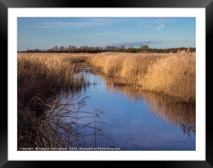 Wetlands at Far Ings Framed Mounted Print by Angela Cottingham