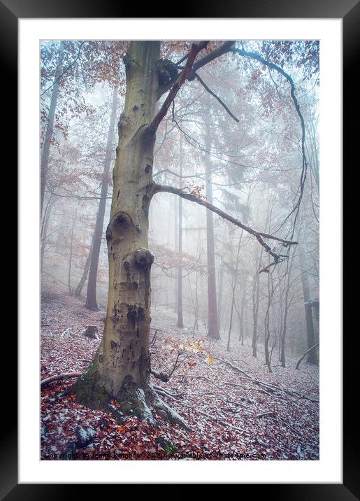 Memory Of The Trees. Winter Framed Mounted Print by Jenny Rainbow