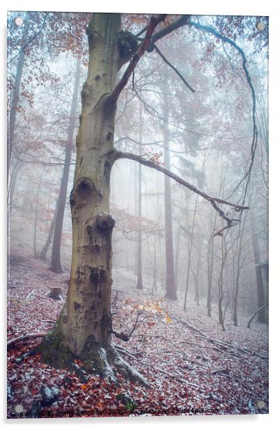 Memory Of The Trees. Winter Acrylic by Jenny Rainbow