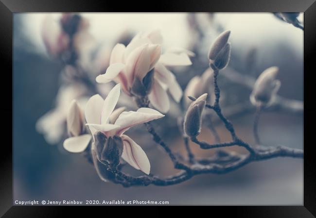 Zen Magnolia Blossom Boho Style Framed Print by Jenny Rainbow